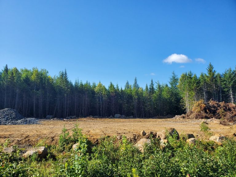 New grow coming soon!