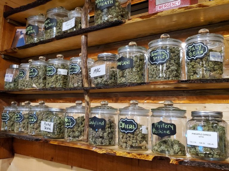 Quality Maine Cannabis Strains