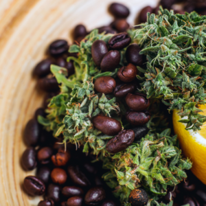 Terpene-Rich cannabis strains