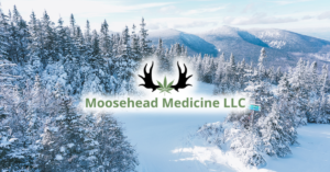 Reasons to Visit Maine for Canna Lovers