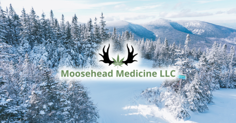 Reasons to Visit Maine for Canna Lovers