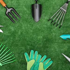 Gifts for cannabis lovers