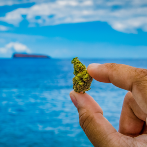 best strains to try for 420